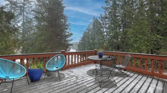 Enjoy your morning coffee or evening glass of wine on this entertainment sized deck looking out to the lush, mature tree line property and lake.