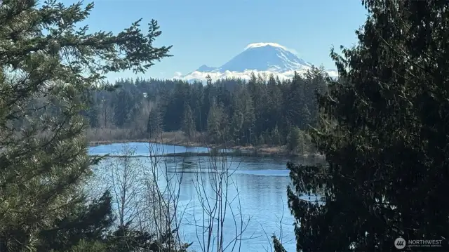 Stunning views of the lake and Mount Rainier!