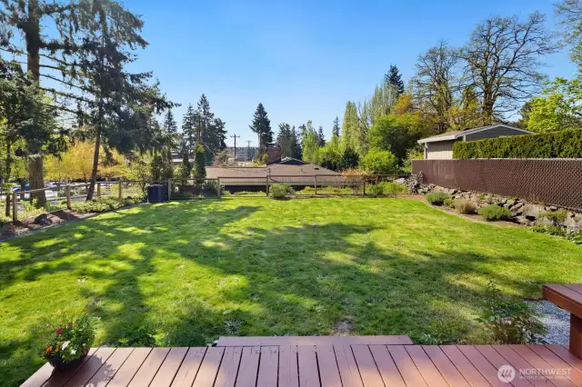 South facing fenced in yard.