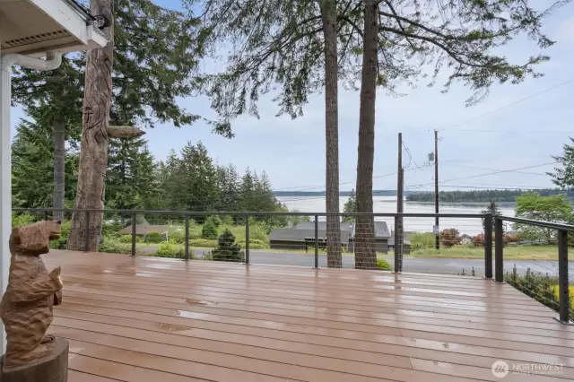 Watch orca from the Trex deck . .