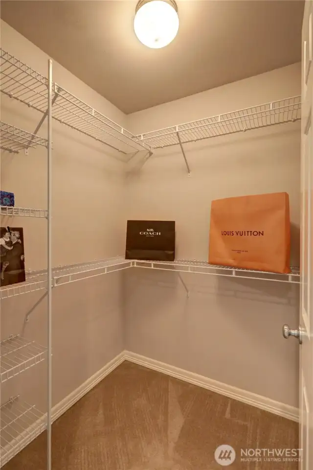 Master walk in closet #1