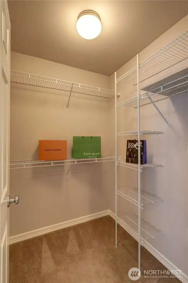 Master walk in closet #2