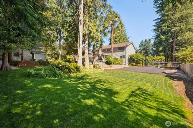 PLUS, plenty of gorgeous lawn on the side yard to play those great summertime yard games & build a snow family!
