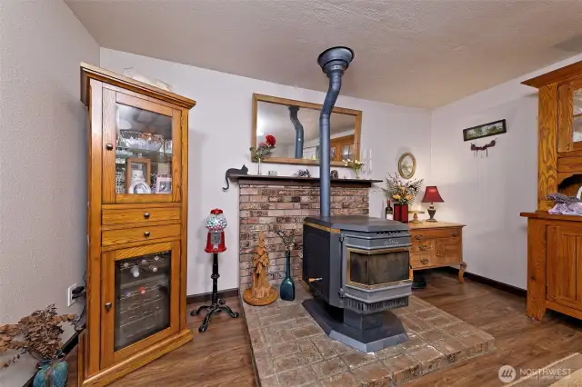 Pellet stove!