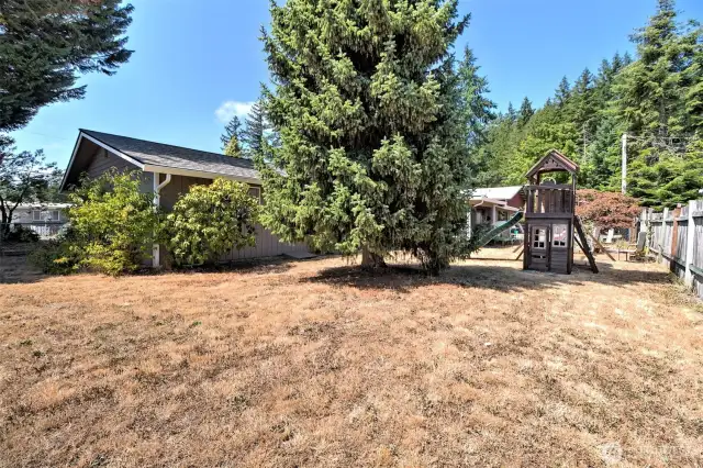 BIG fully-fenced back yard!