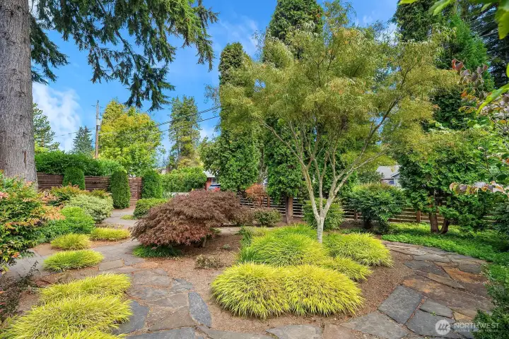 Landscaped front yard