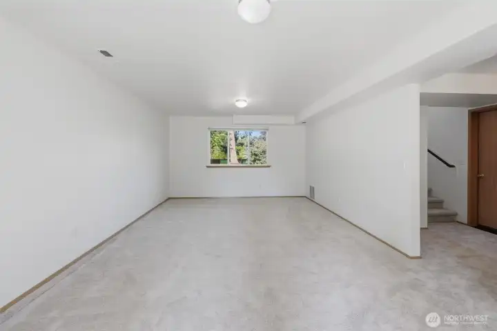 Huge family room downstairs