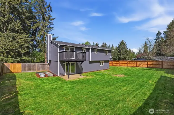 HUGE yard!