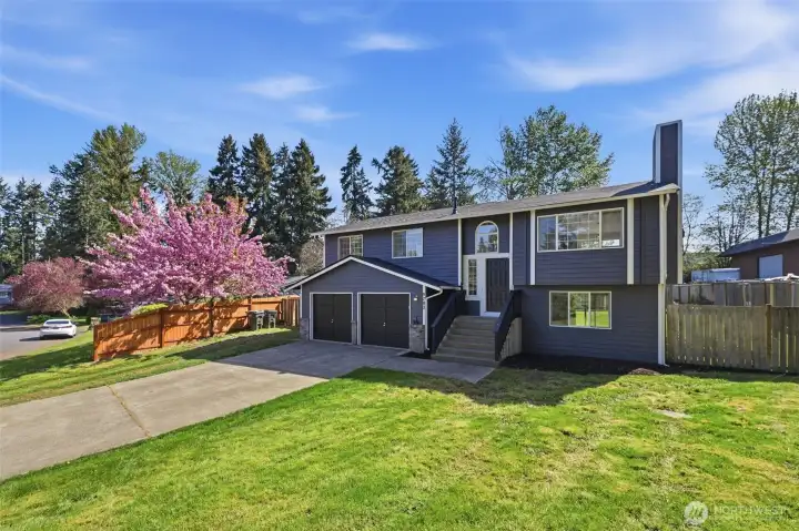Huge front yard