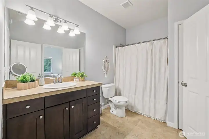 Lower level full bathroom