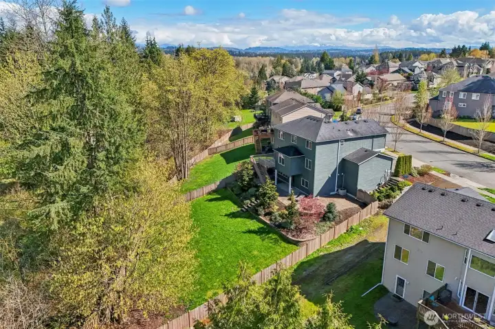 Gorgeous mature easy to maintain landscaping