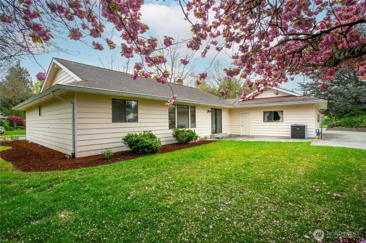 Beautiful backyard area looking towards the patio. Heat pump for heating/cooling on the right side of this photo.