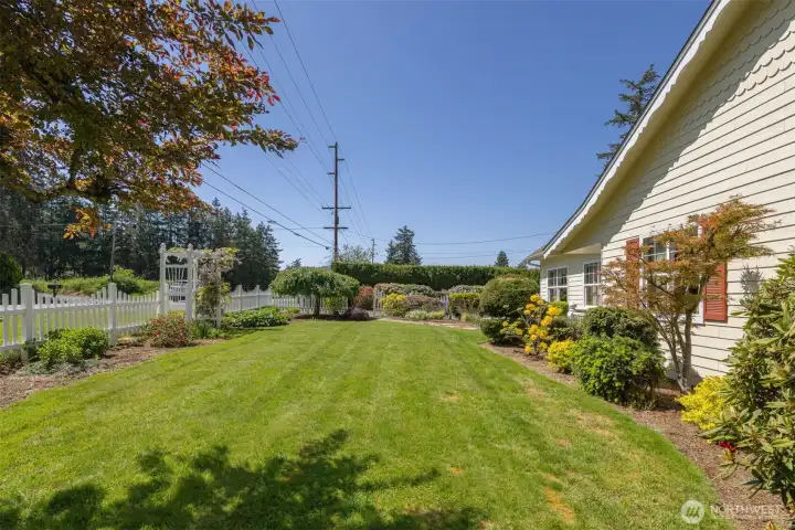 Front Yard