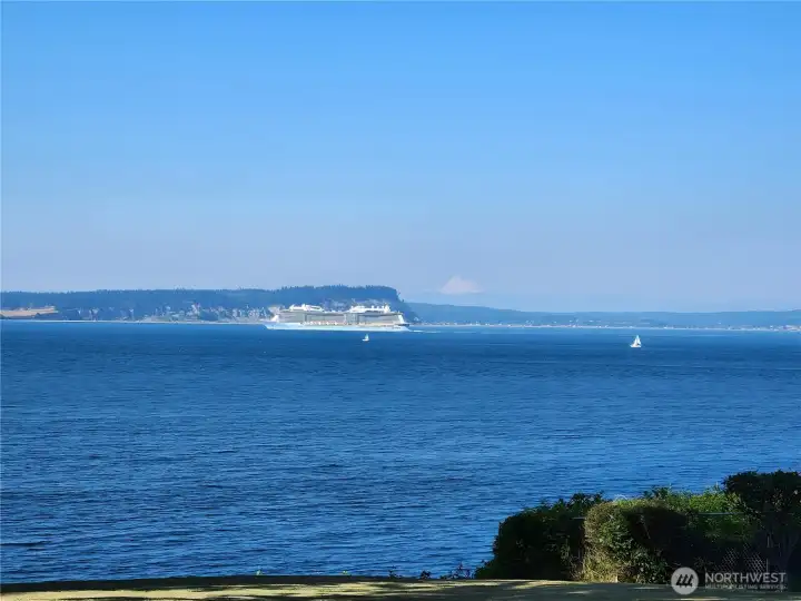 Spend sunny afternoons watching cruise ships glide across Puget Sound. Spend sunny afternoons watching cruise ships glide across Puget Sound.
