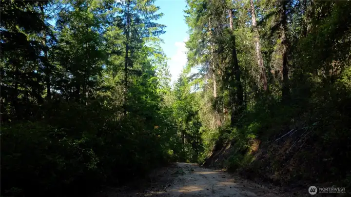 road in
