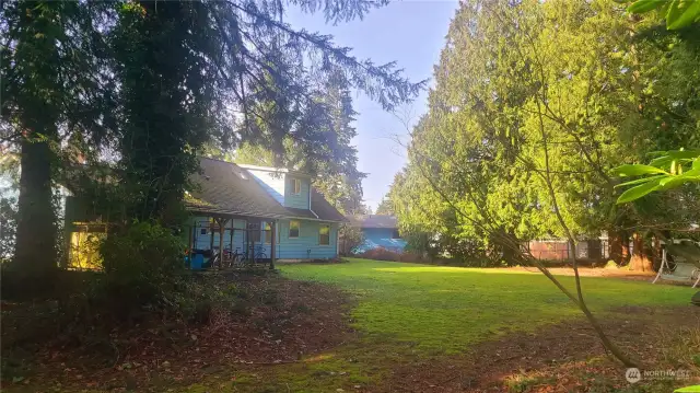 Back yard of 1/2 acre parcel