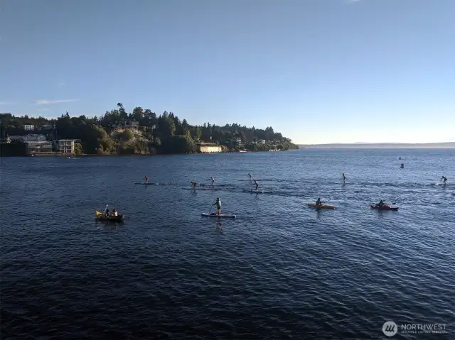 Paddle boards in the summer