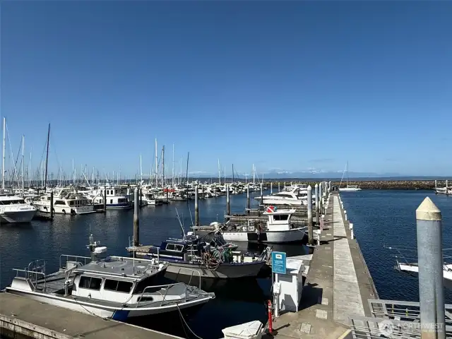 Shilshole Bay Marina is close