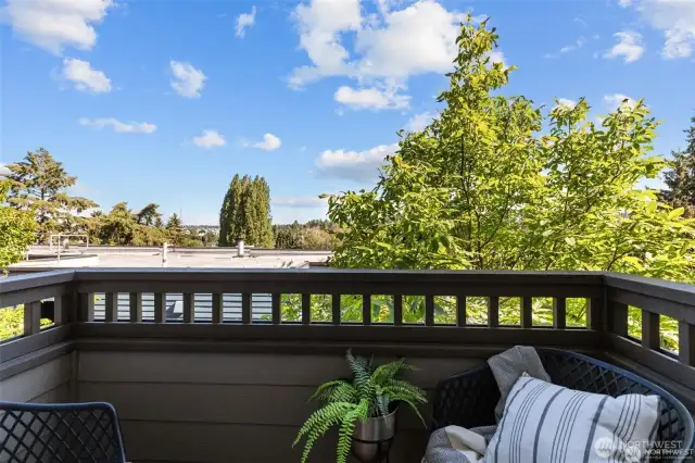 View from main level balcony