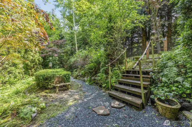 This 1/2 acre offers 'secret' gardens, bird & wildlife friends, and year round, natural color.