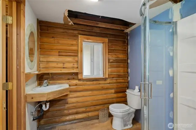 3/4 bathroom downstairs with new shower.