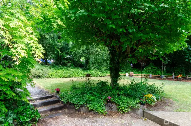 How enchanting is this front yard?