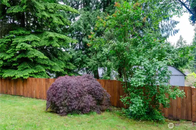 Mature landscaping makes the yard feel like your own private oasis.