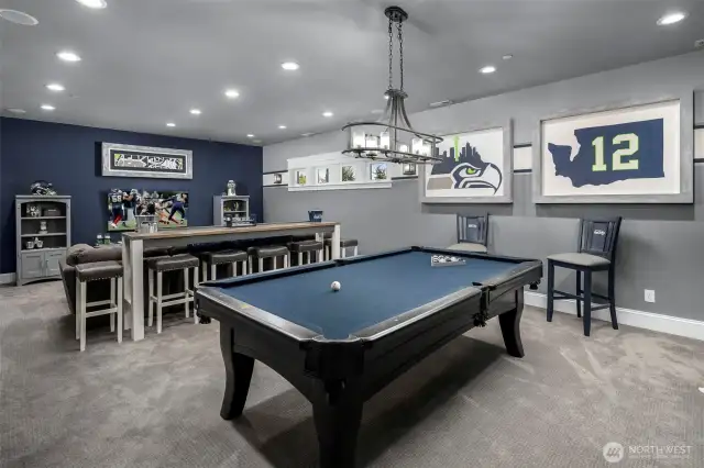 Entertainment room!