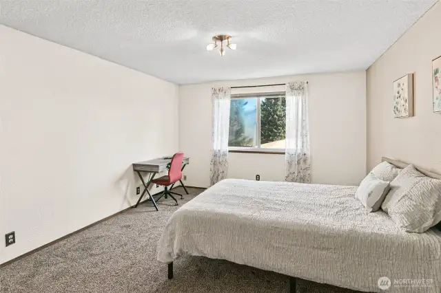 New Light and Window Have Been Ordered.