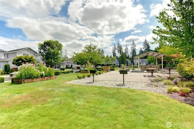 Lots of Open Spaces