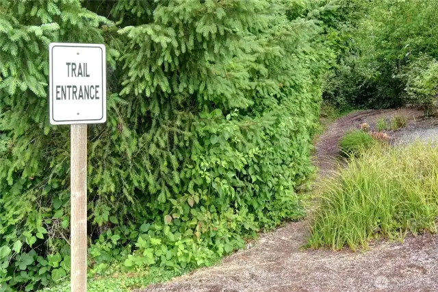 Walk in Nature Trails