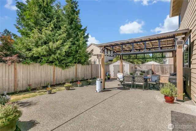 Back yard