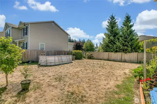 Back yard