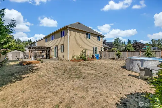 Back yard