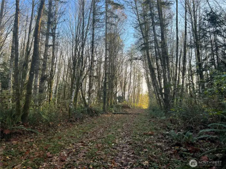 Easily cleared for your dream estate.