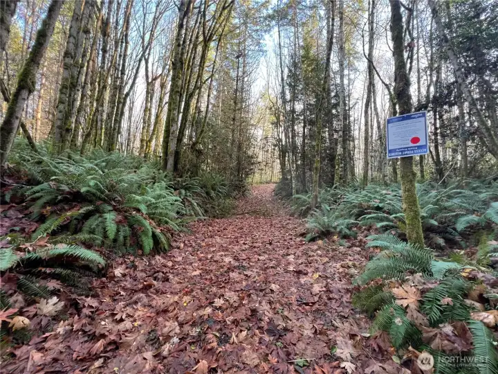 Established road for easy viewing.