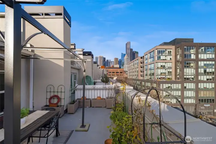 Love the open city views—perfect for morning coffee, container gardens, or relaxing as the skyline comes to life.