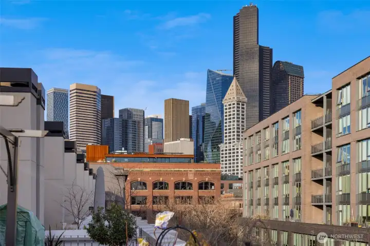 Striking skyline outlook featuring downtown views and iconic city architecture.