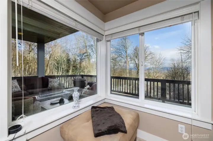 Views out family room windows