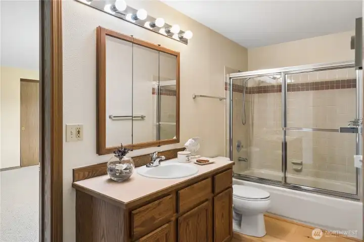 Main bath off the extra bedroom.