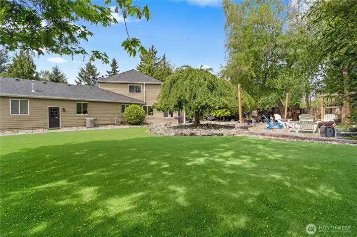 This is turf!  Low maintenance, always green, easy to clean!  WOW! What an upgrade