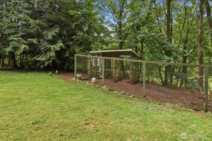 Chicken Coop - Lots of Fresh Eggs daily