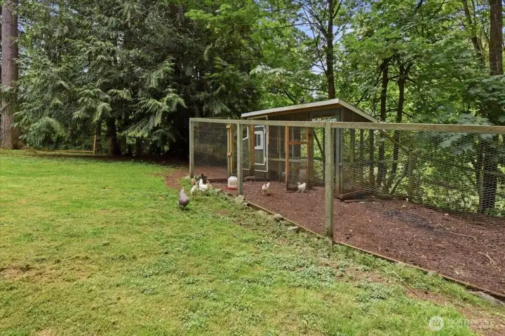 Chickens can convey with Sale if Buyer chooses