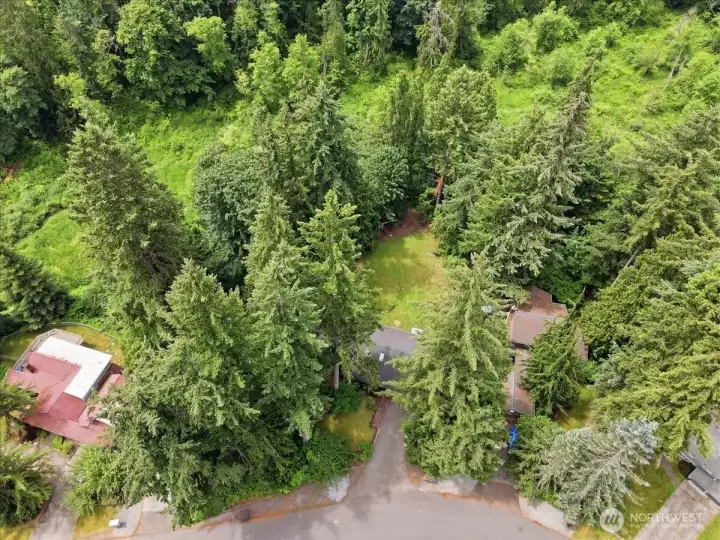 Lot goes behind back fence down Ravine to West Fork Quilceda Creek