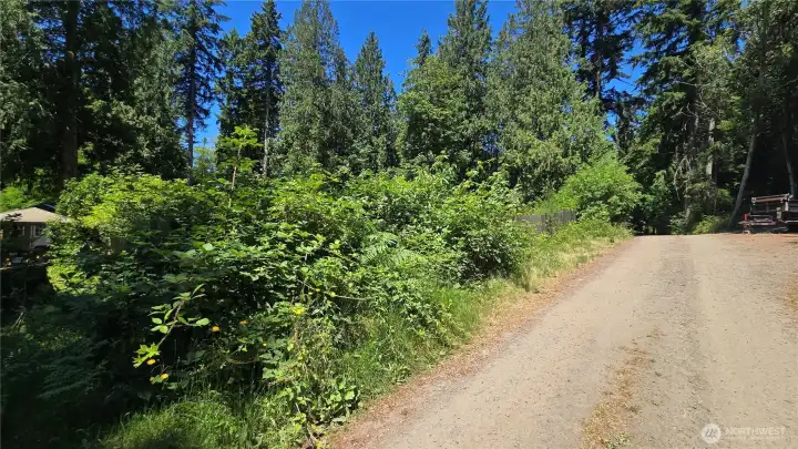 East property line along road - property on left side. East property line along road - property on left side.
