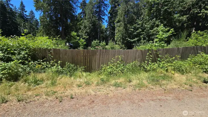 East property line - property behind the fence. East property line - property behind the fence.