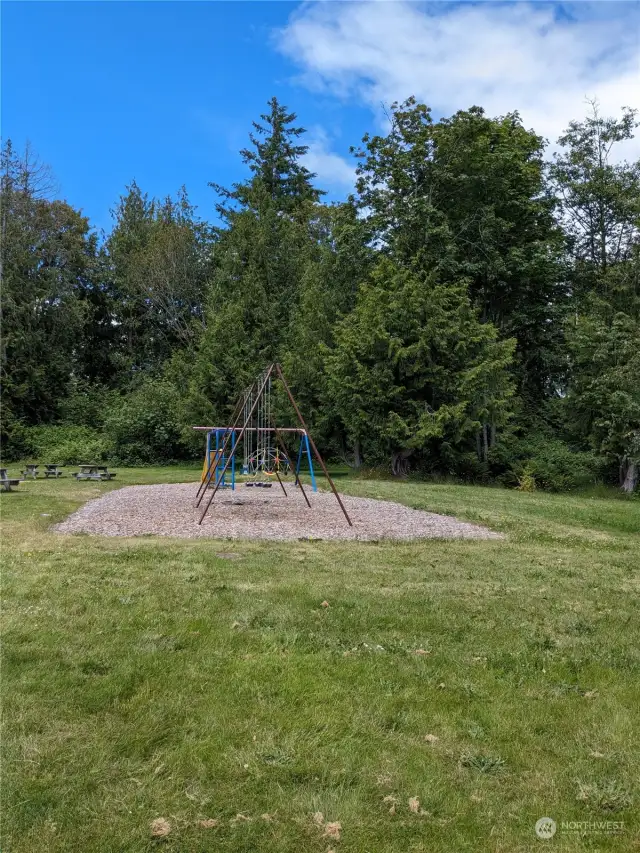 The play ground for the neighborhood