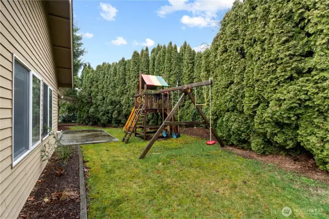 Backyard with playset and privacy trees