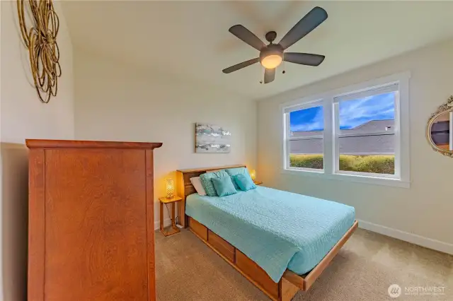 2nd downstairs bedroom
