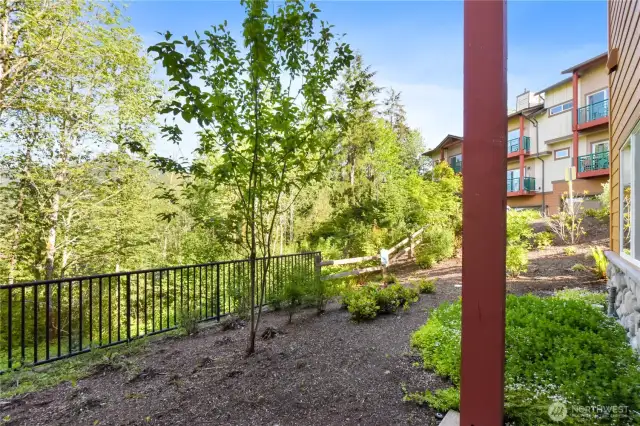 Patio View